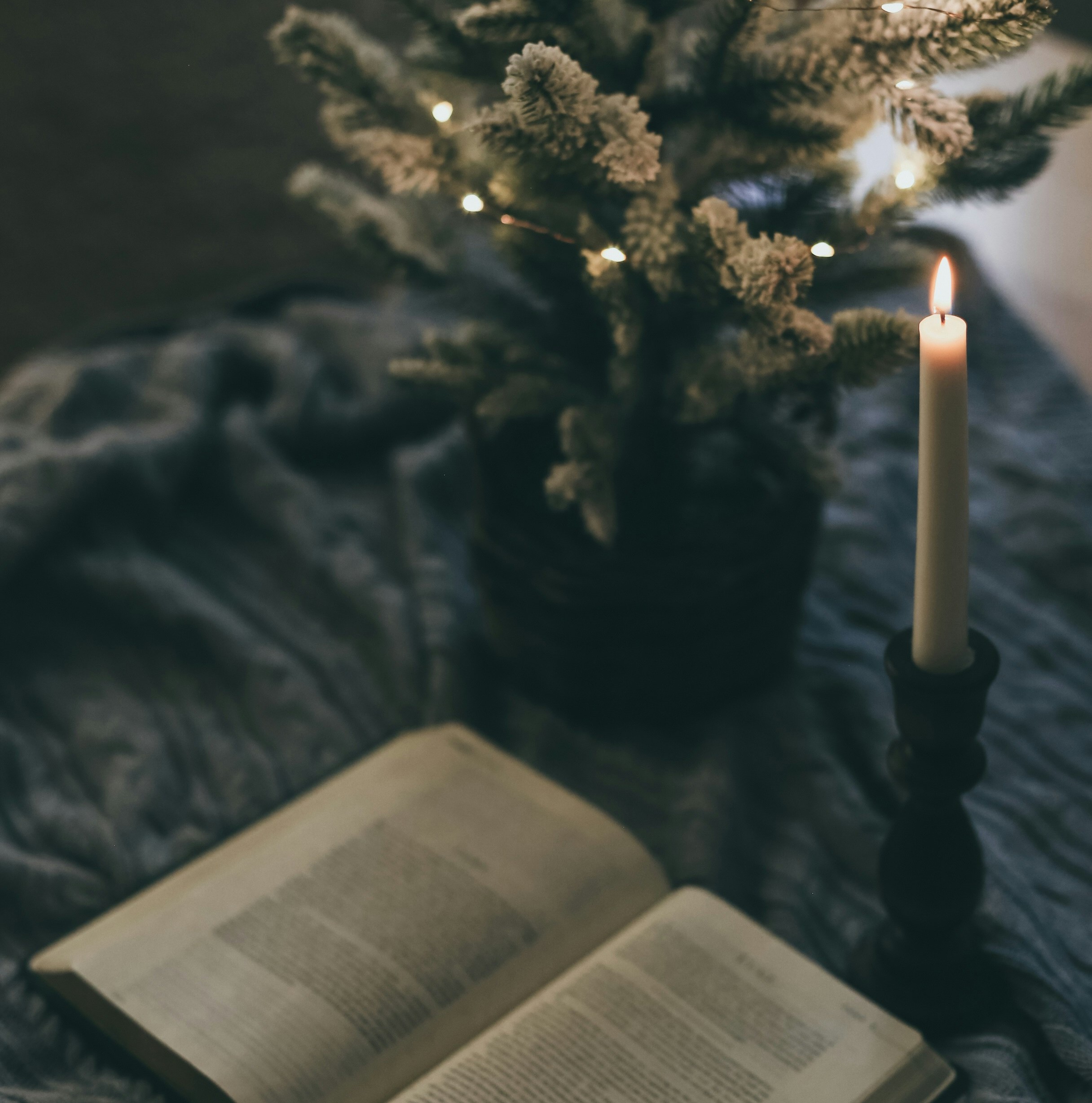 Advent Book Study