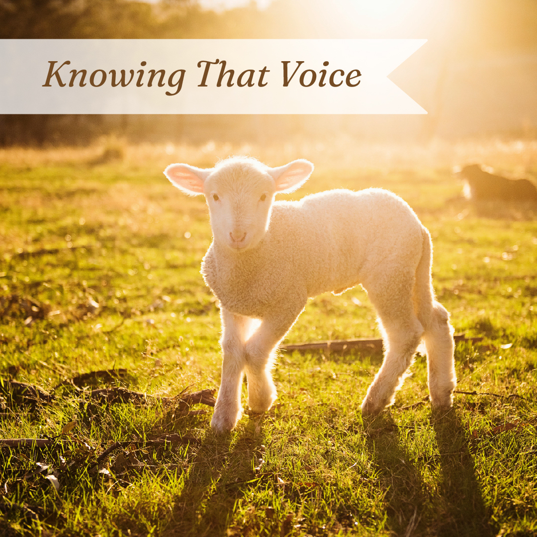 Knowing that Voice Sermon Series FUMC 2026