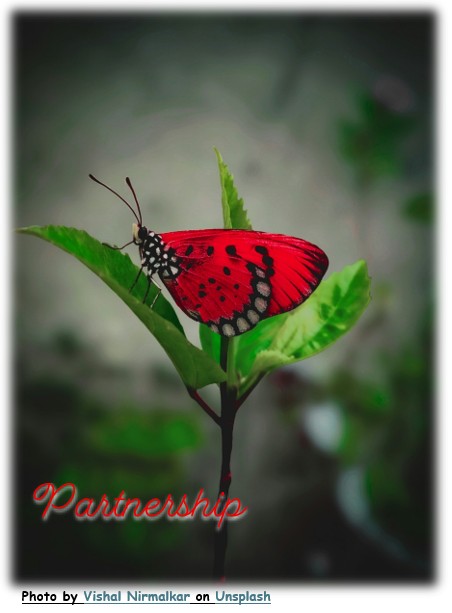 Partnership Sermon at FUMC