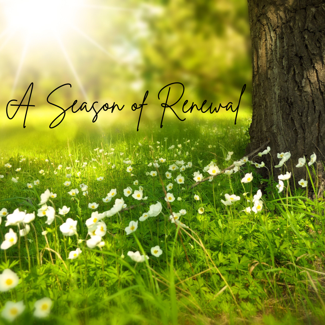 Seasons of Renewal Sermon at FUMC Loveland