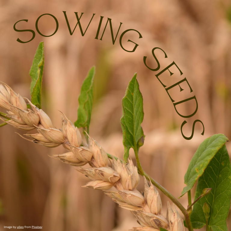 Sowing Seeds Sermon at FUMC Loveland