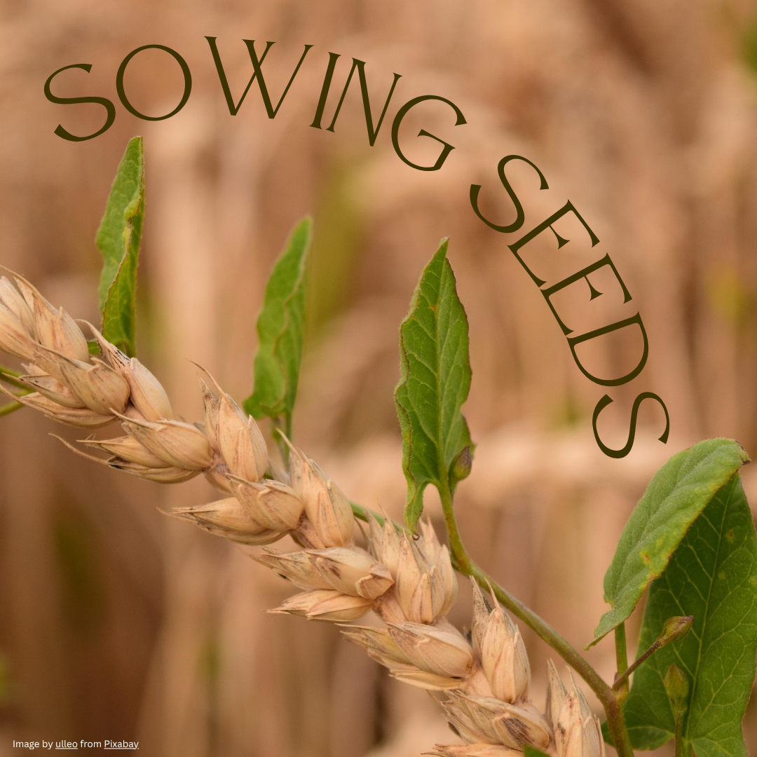 Sowing Seeds Sermon at FUMC Loveland